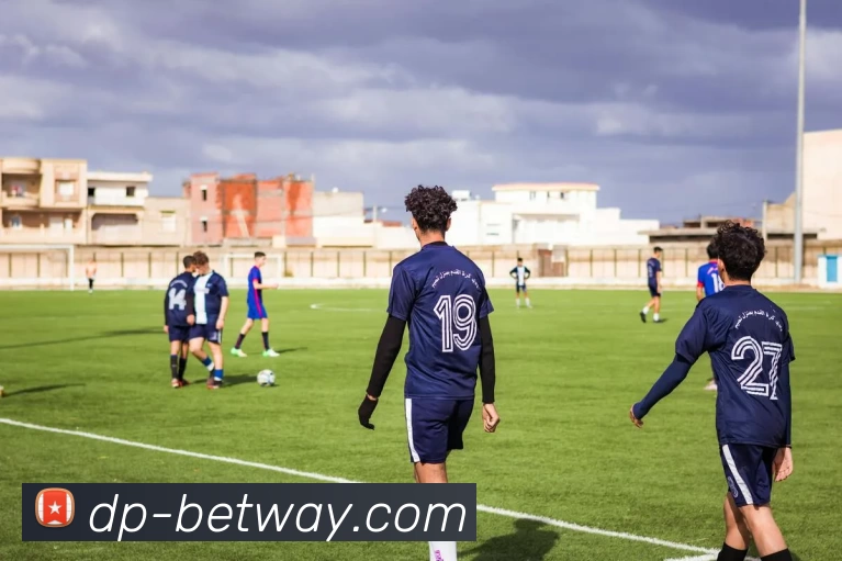 必威体育平台平台生态图